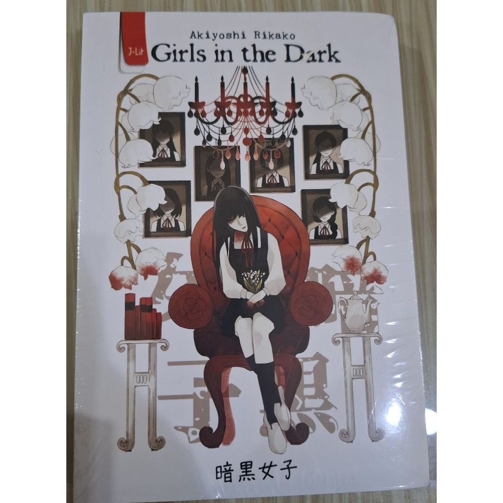 (SEALED) GIRLS IN THE DARK NOVEL
