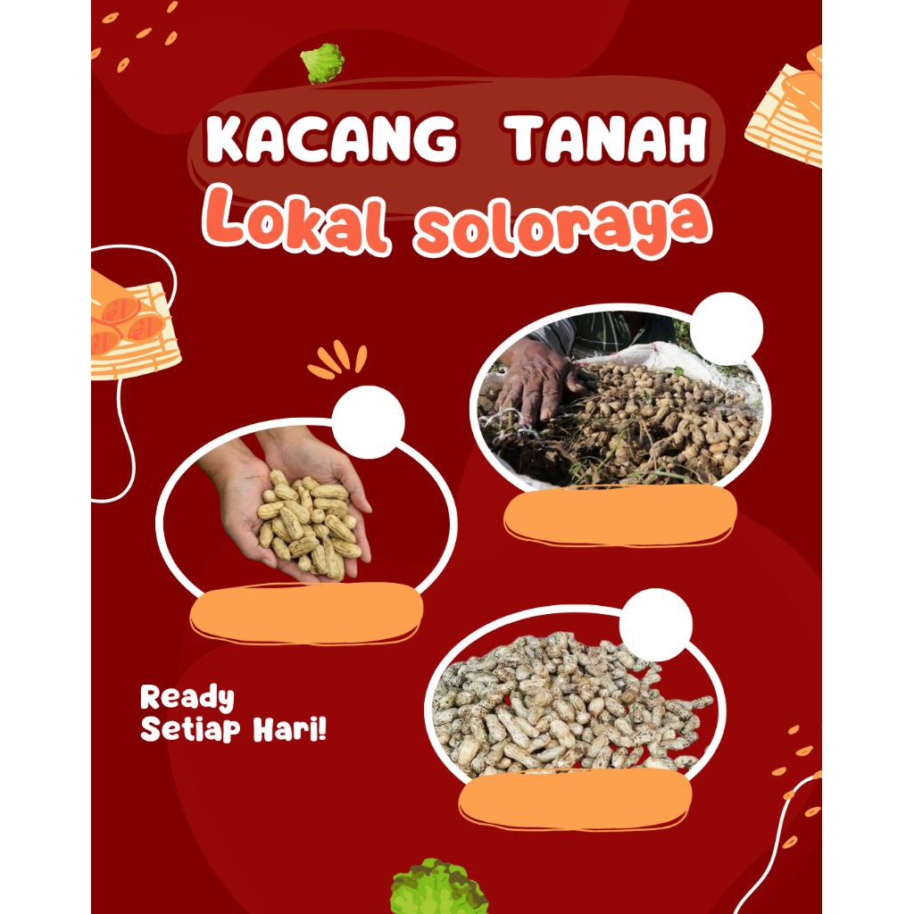 Kacang Tanah Mentah basah  Wonogiri