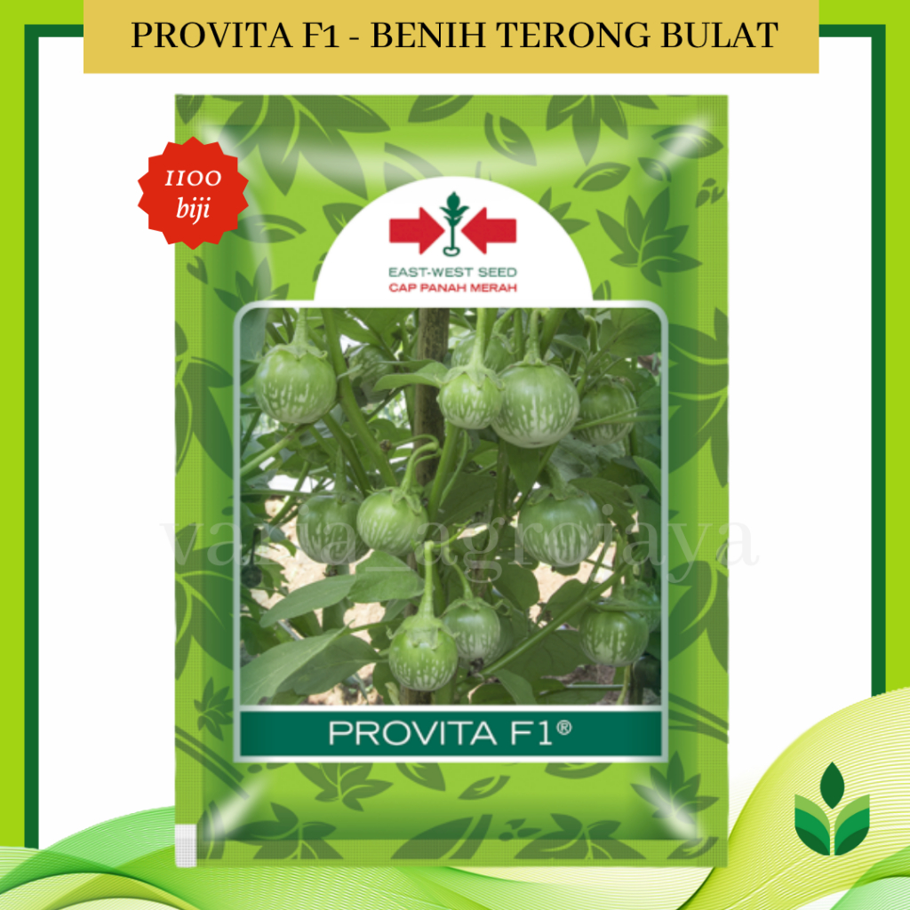 Benih Bibit Terong Bulat Provita F1 1100 Biji - Cap Panah Merah
