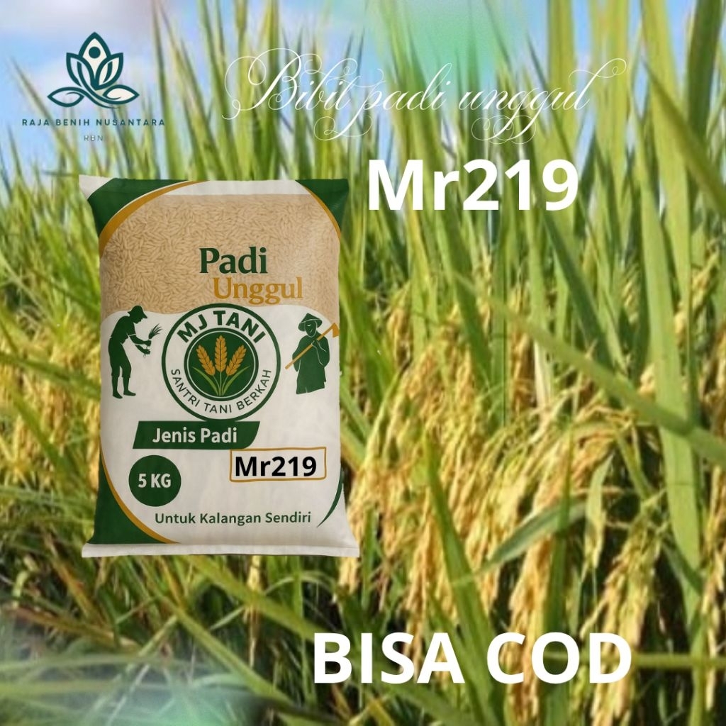bibit padi UNGGUL MR219 5KG