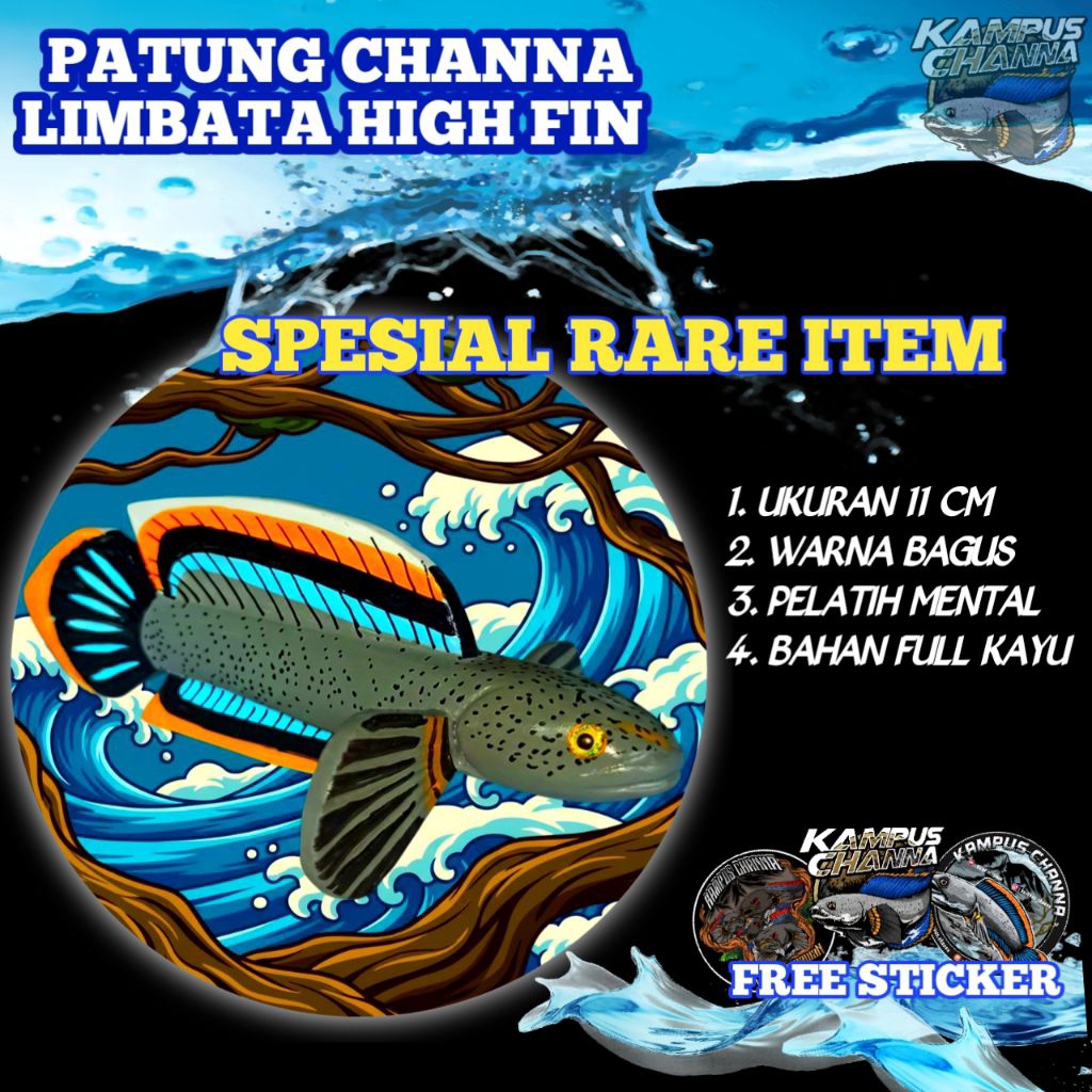 PATUNG CHANNA LIMBATA HIGH FIN
