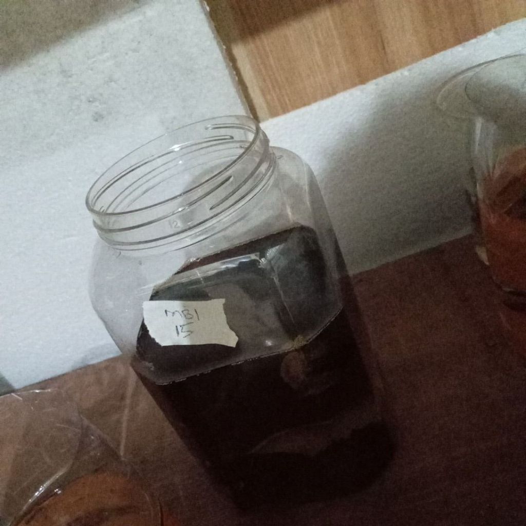 avatar cooper gold bumi betta