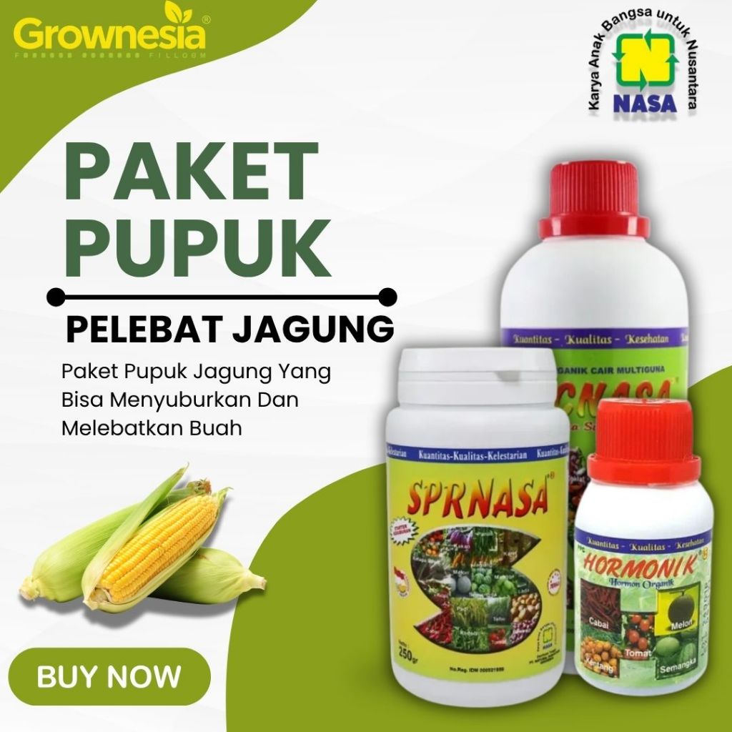 Pupuk Jagung Pemebesar Buah Pupuk Organik Jagung Cepat Berbuah Besar Pupuk Booster Jagung Pelebat