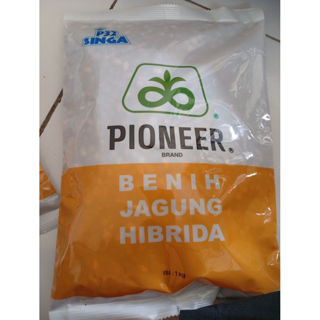 Benih jagung hibrida P32 Singa
