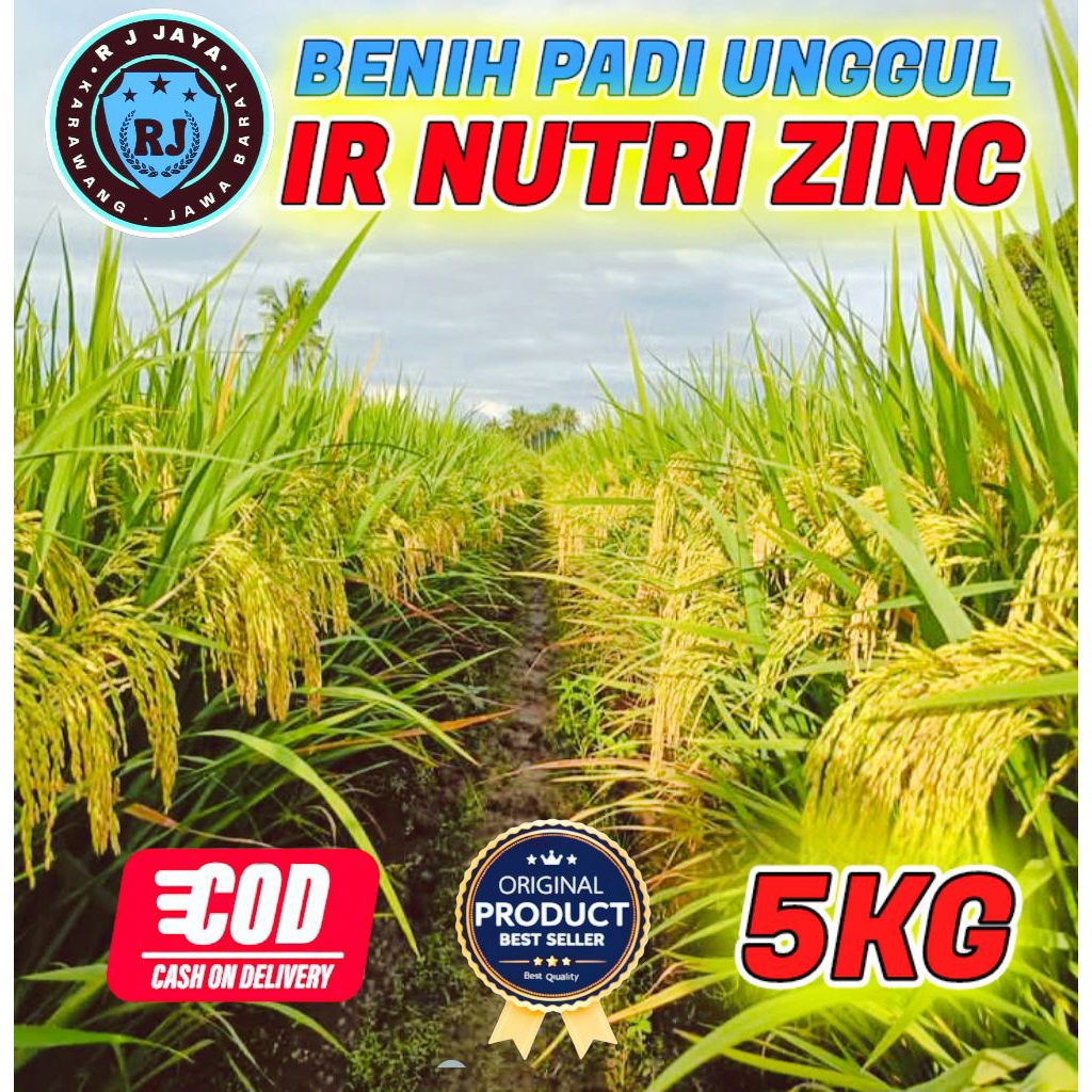 BENIH PADI BERKUALITAS IR NUTRI ZINC KEMASAN 5KG