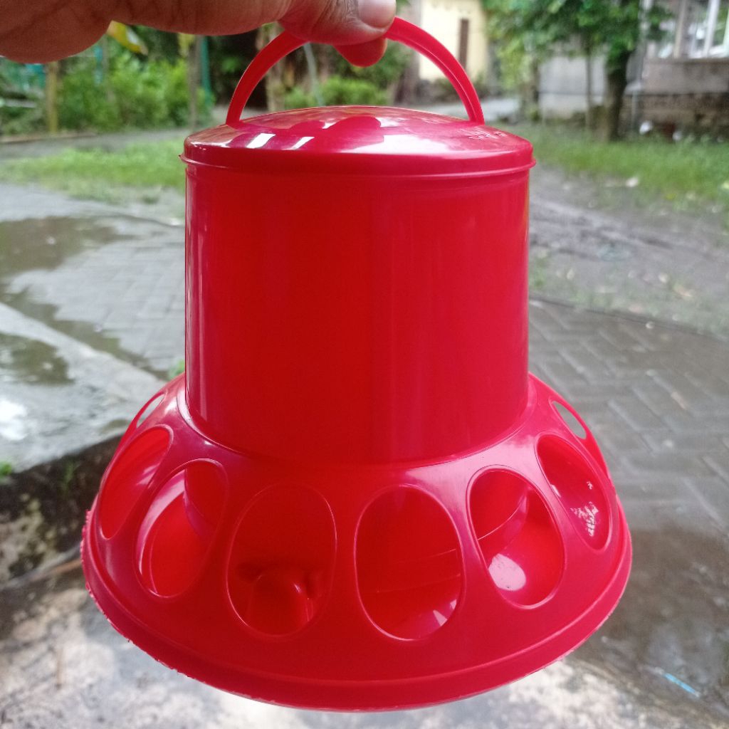 doc ayam tempat pakan ayam