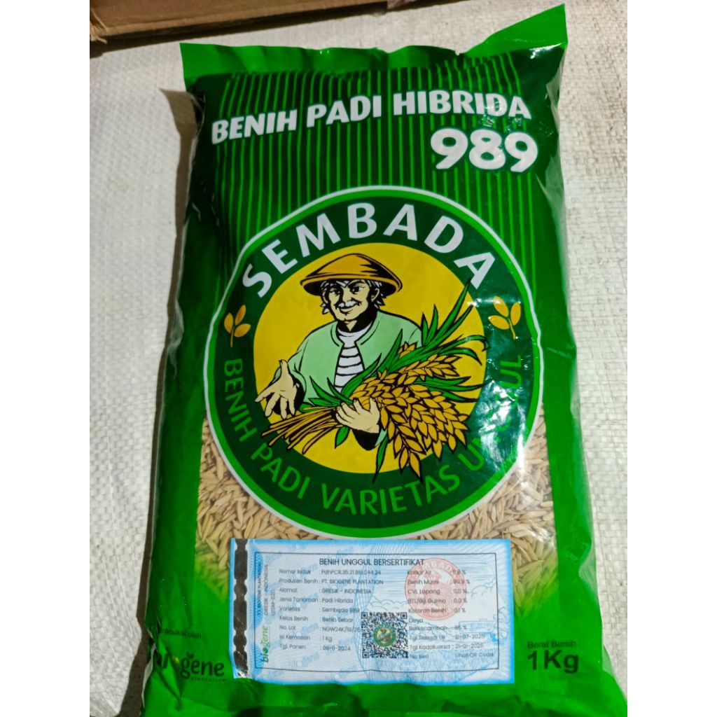 Bibit Padi hibrida Sembada 989 Original