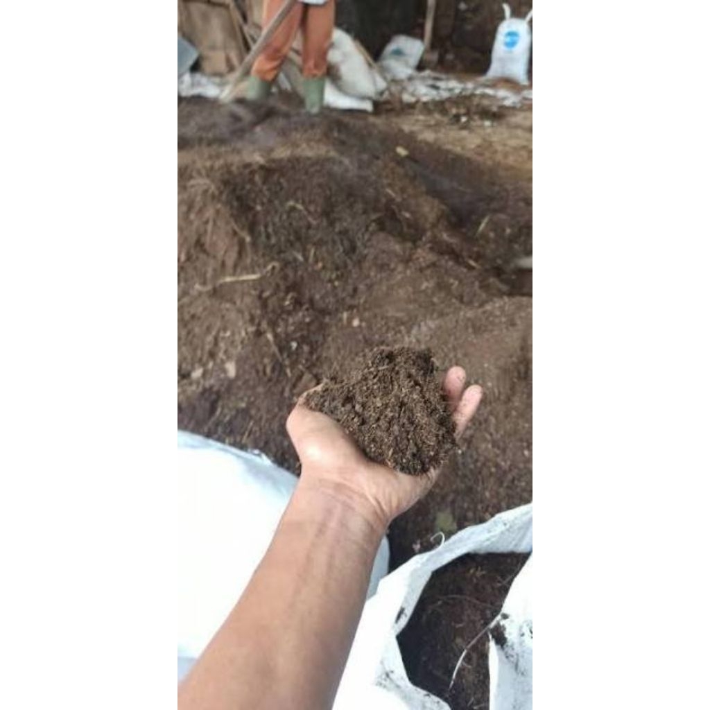 kohe kambing fermentasi 1kg