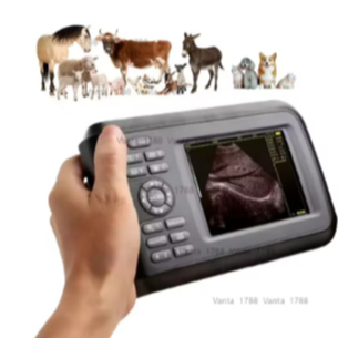 USG Mesin Ultrasound Hewan Portabel Pemindai USG Ultrasound Hewan