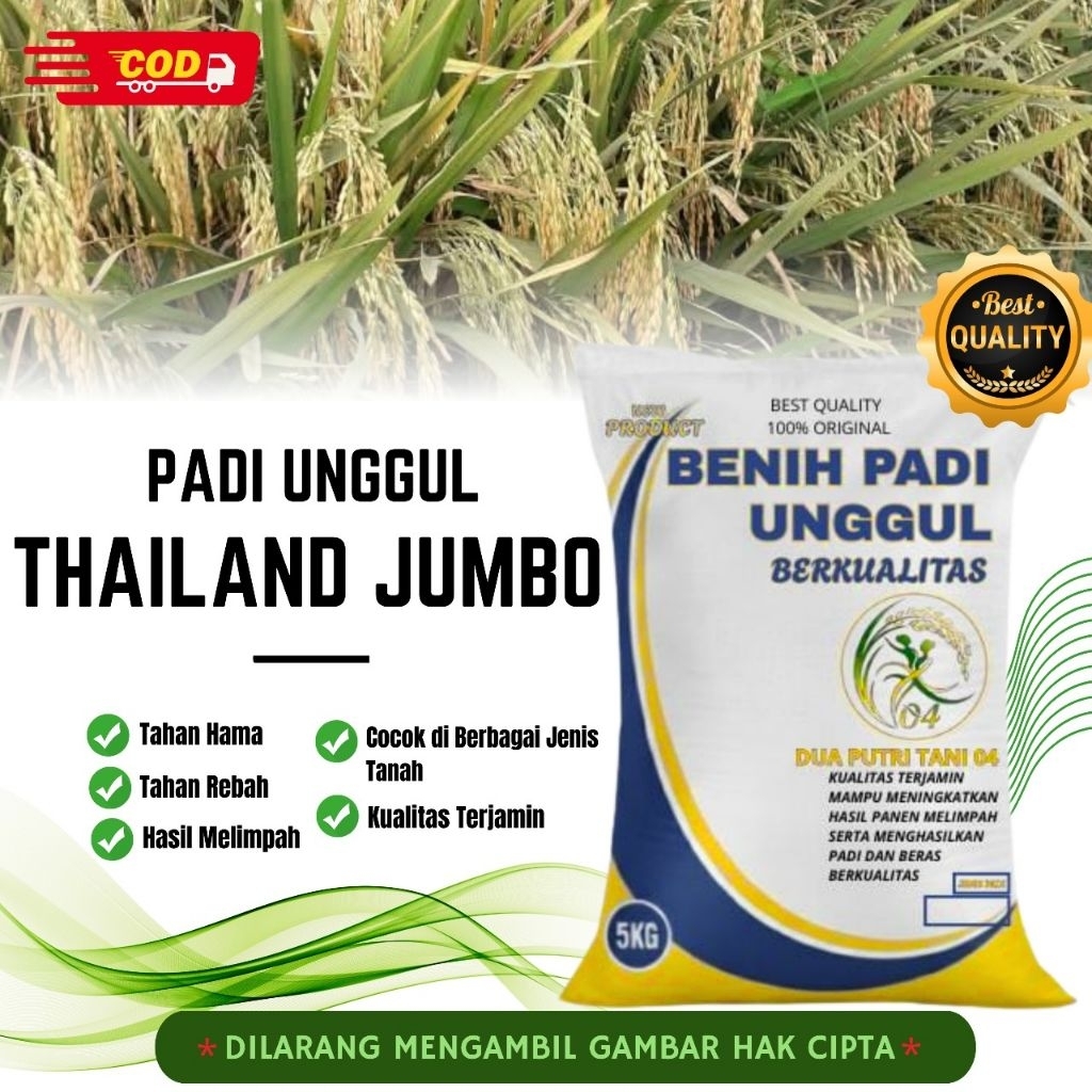 bibit PADI THAILAND JUMBO BIBIT UNGGUL kemasan 5kg