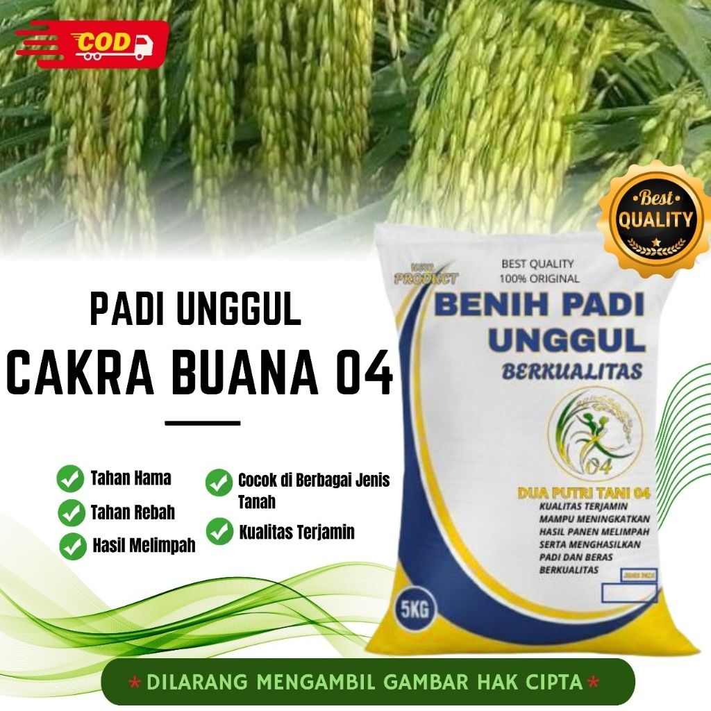 bibit PADI CAKRABUANA 04 Kemasan 5kg