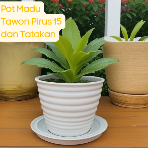 [TANPA MINIMAL ORDER] (1 set) 1 Set Pot Bunga Plastik Pot Madu Tawon Tinggi 15 cm dan Tatakan Putih