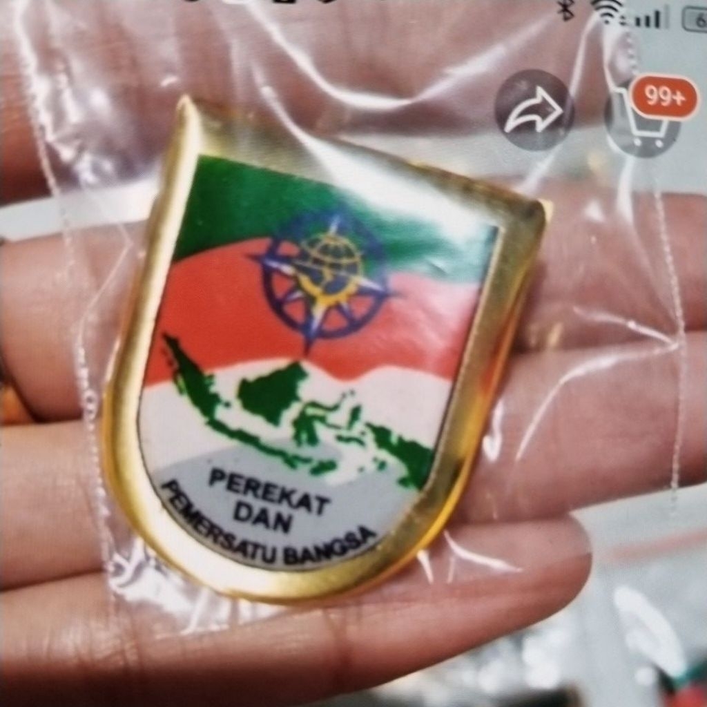 pin pemersatu bangsa