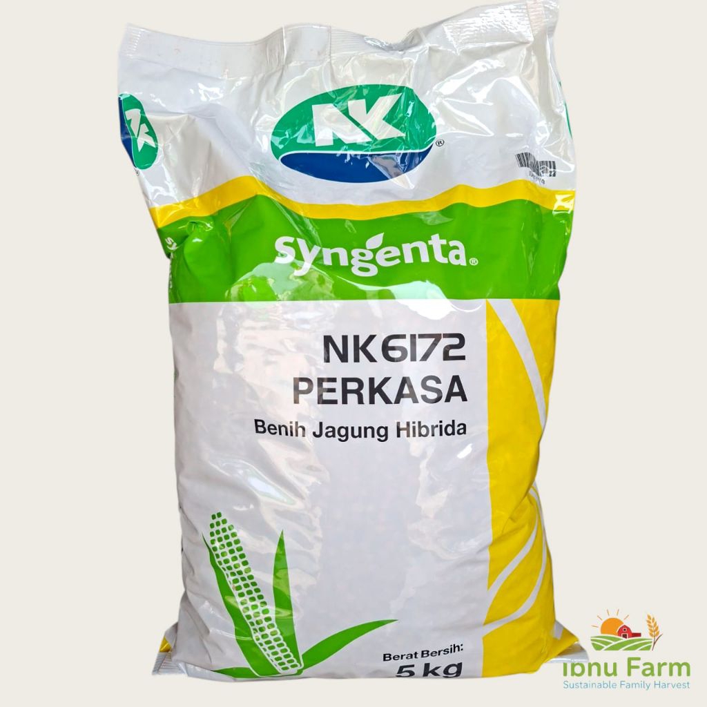 Benih Bibit Jagung Hibrida NK PERKASA 5KG