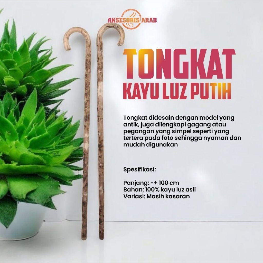 Tongkat Kayu Luz Putih Asli Impor Mesir