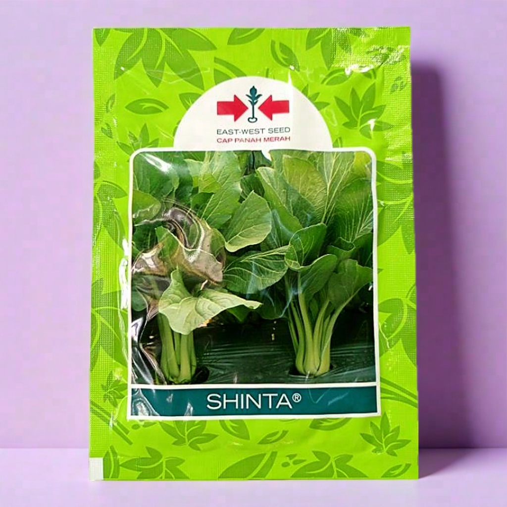 benih sawi caisim SHINTA