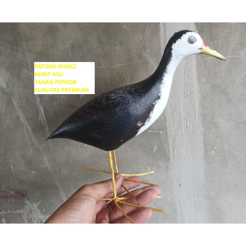 patung burung ruak ruak jontrot manuk kareo boneka ruak mirip asli tahan penyok kualitas premium