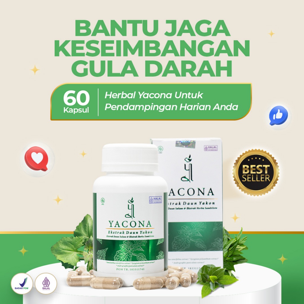 Obat Diabetes Yacona Kapsul Diabetes Herbal Gula Darah Tinggi 60 Kapsul