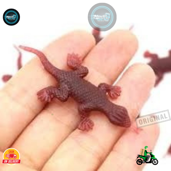 mainan hewan jahil prank toy miniatur kadal