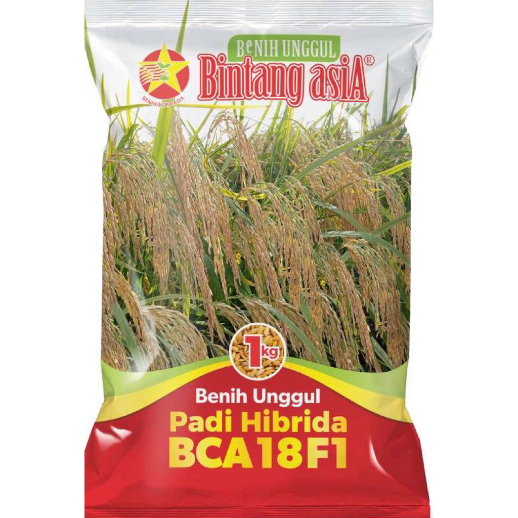 Benih BCA 18 F1 1 kg (Padi Hibrida)