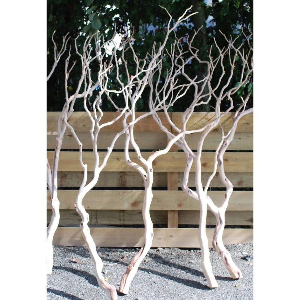 Ranting Pohon Dekorasi Alami Ranting Hias Kayu Dekorasi Pohon Artificial kayu Hias Kayu Asli 100%