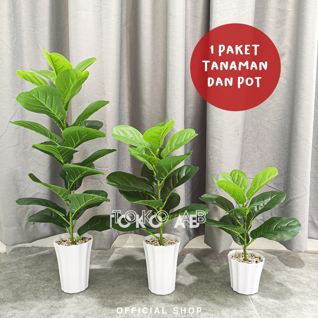 RB6103 RANGKAIAN TANAMAN POHON KETAPANG DAUN BESAR 1 CABANG POT PLASTIK DEKORASI HIASAN RUANG TAMU D