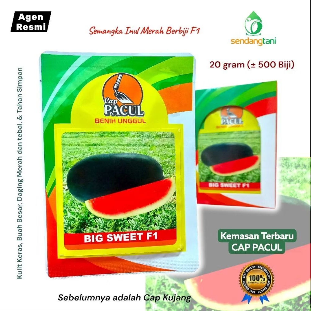 Semangka BIG SWEET F1 20 Gram Benih Bibit Semangka Inul Merah Berbiji Cap Pacul atau Kujang
