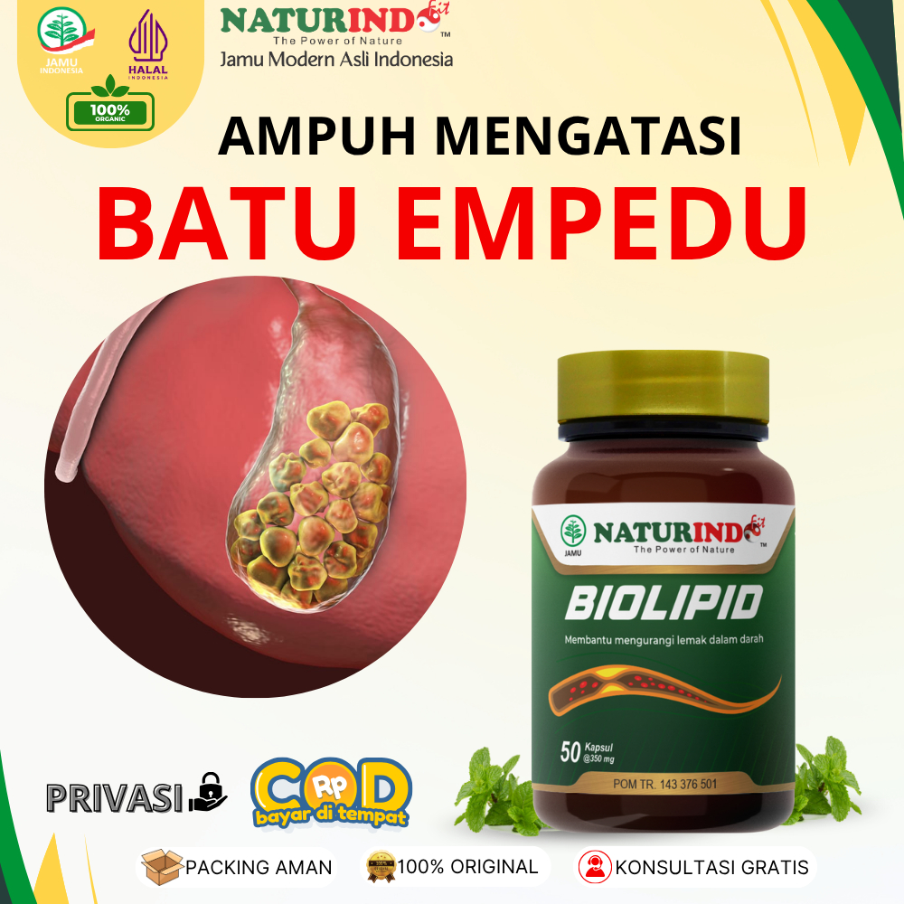 Obat Batu Empedu Tanpa Operasi Penghancur Batu Empedu Ampuh Biolipid Naturindo