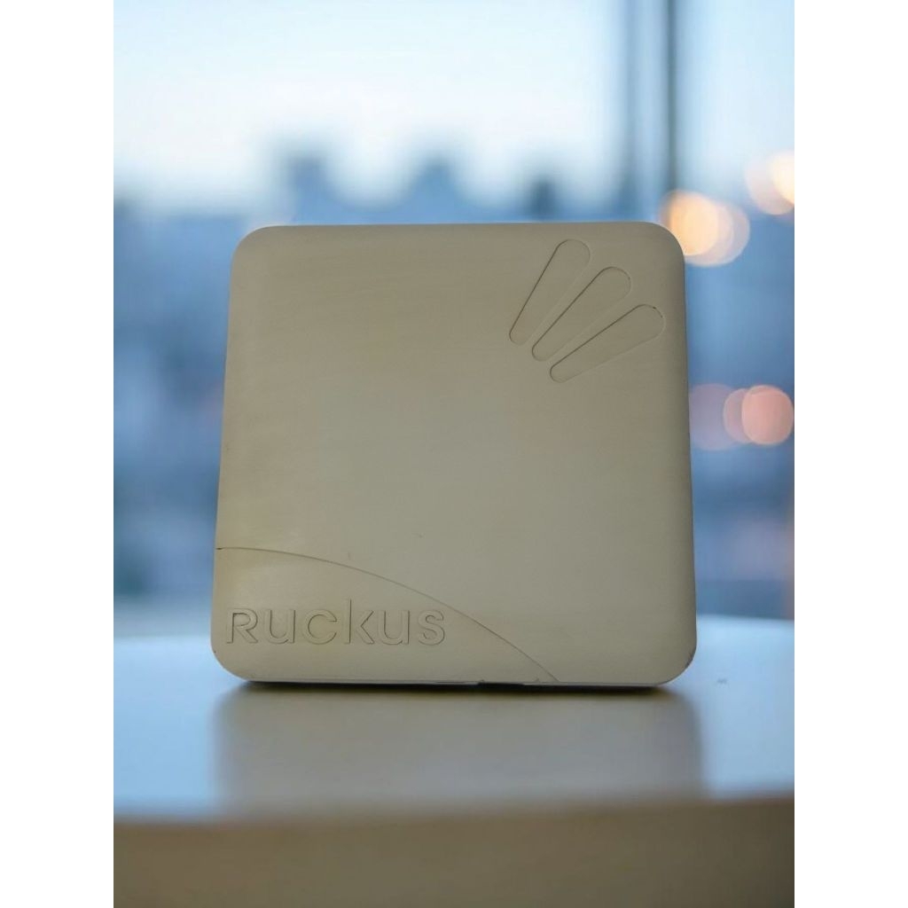 Ruckus 7321 Acces Point Second Normal