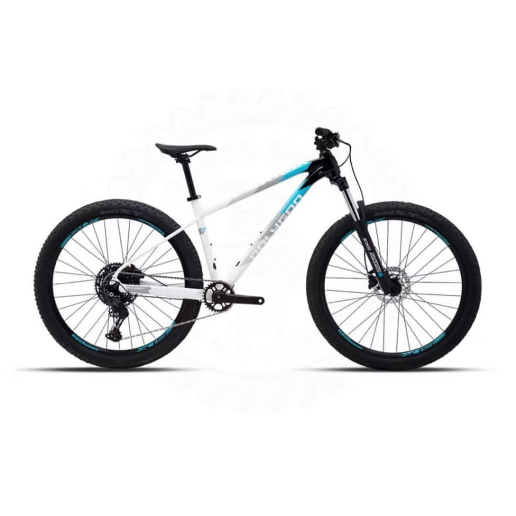Sepeda MTB Polygon Xtrada 50