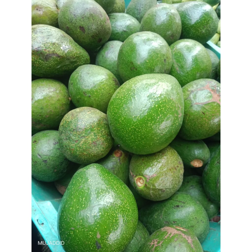 Alpukat Mentega Asli Bandung # 1kg