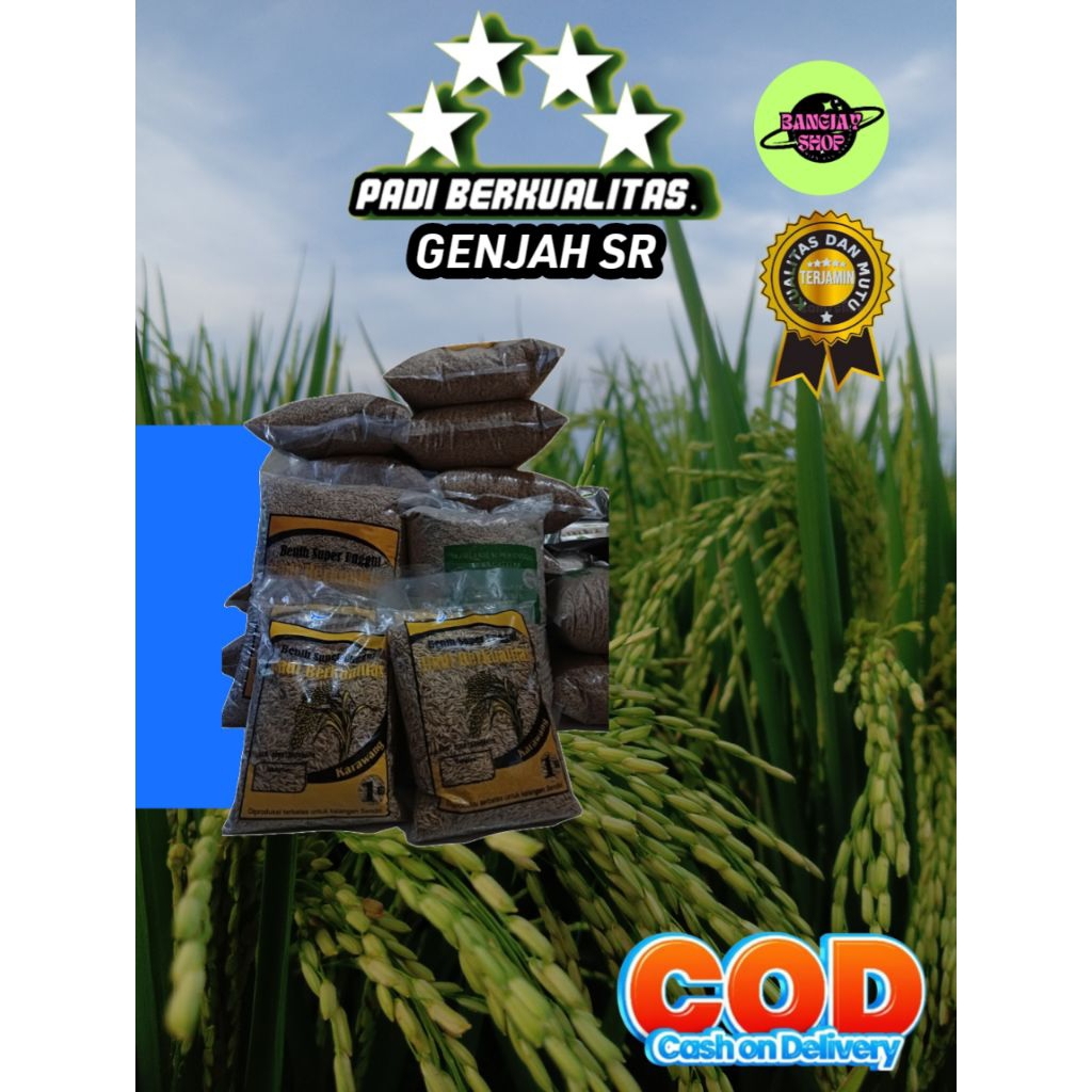 BENIH PADI GENJAH SR kemasan  5KG