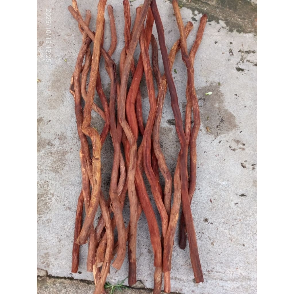 AKAR SANTIGI ASLI GUNUNG BAHAN DEKORASI RANDOM 100CM/DIA1-2CM