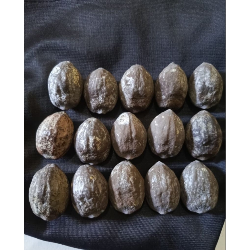 muncang aduan Jayanti Jawa si petruk