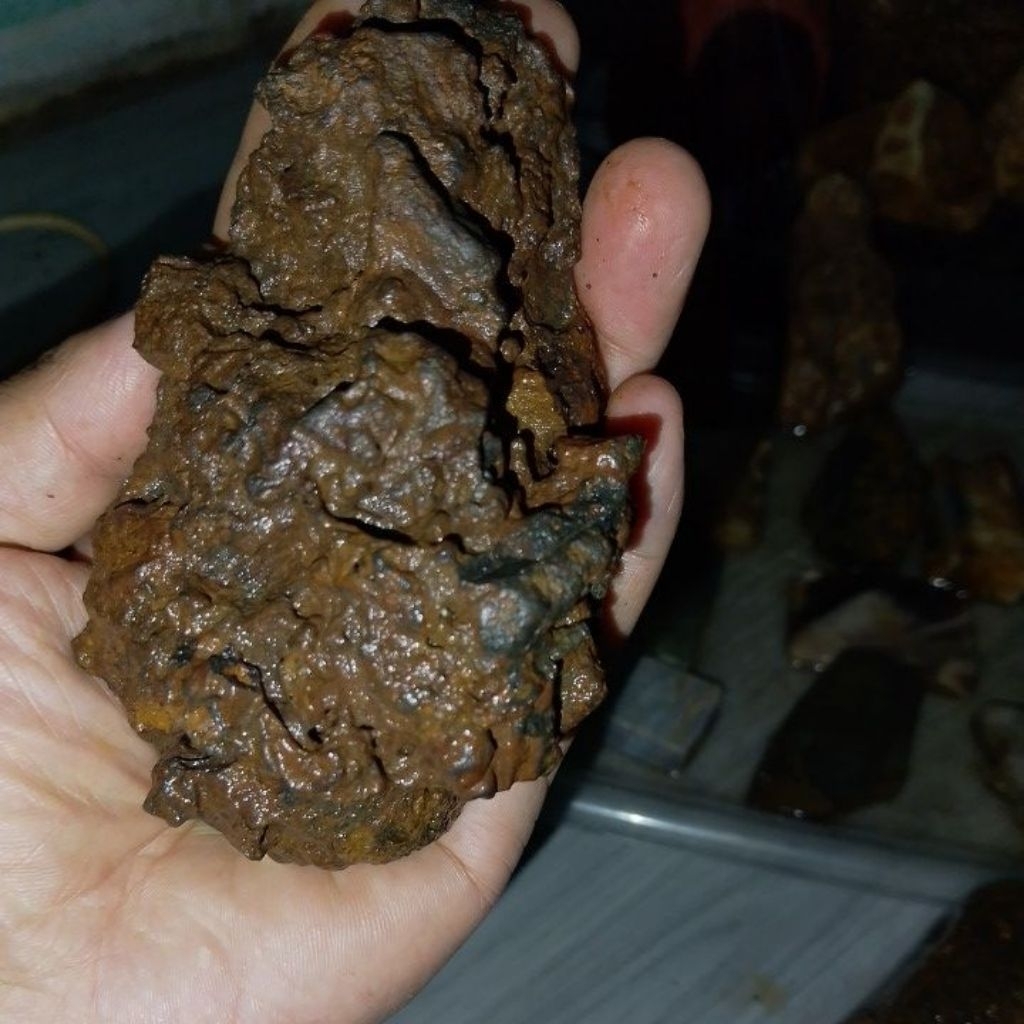 meteorit nempel magnet