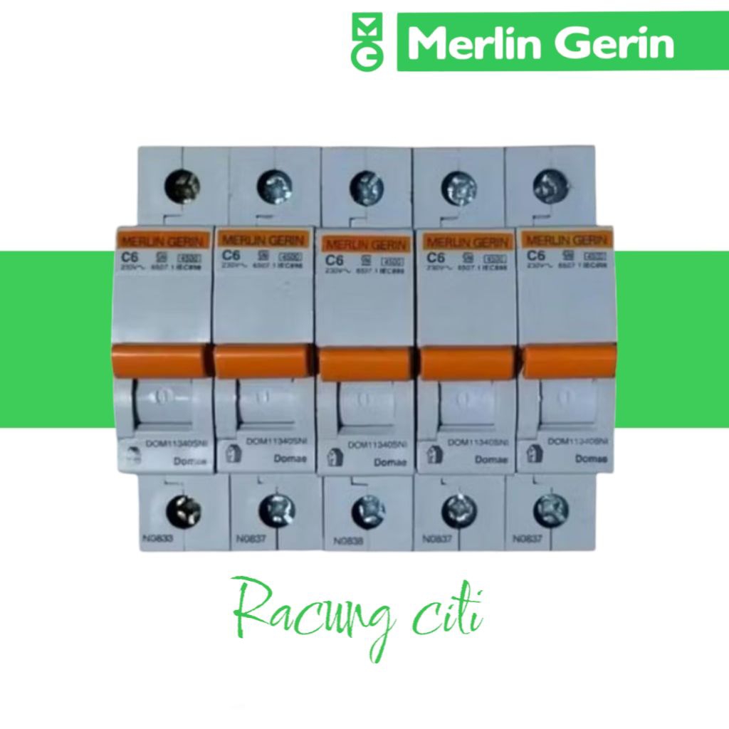 MCB MERLIN GERIN 1PASHE 10A