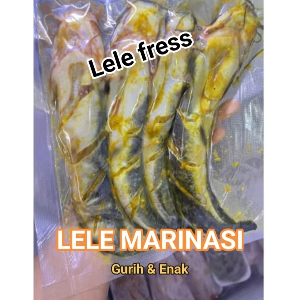 Lele Marina bumbu kuning 500gram isi 4ekor siap goreng
