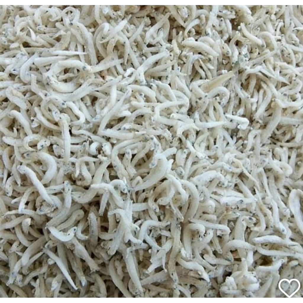 Teri nasi tanjung pinang 250 gr