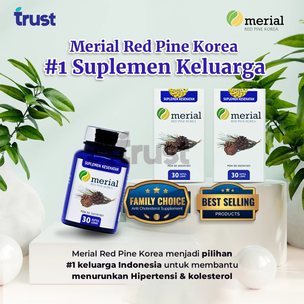 MERIAL RED PINE KOREA ASLI 100% ORIGINAL PINUS MERAH RED PINE TERMURAH