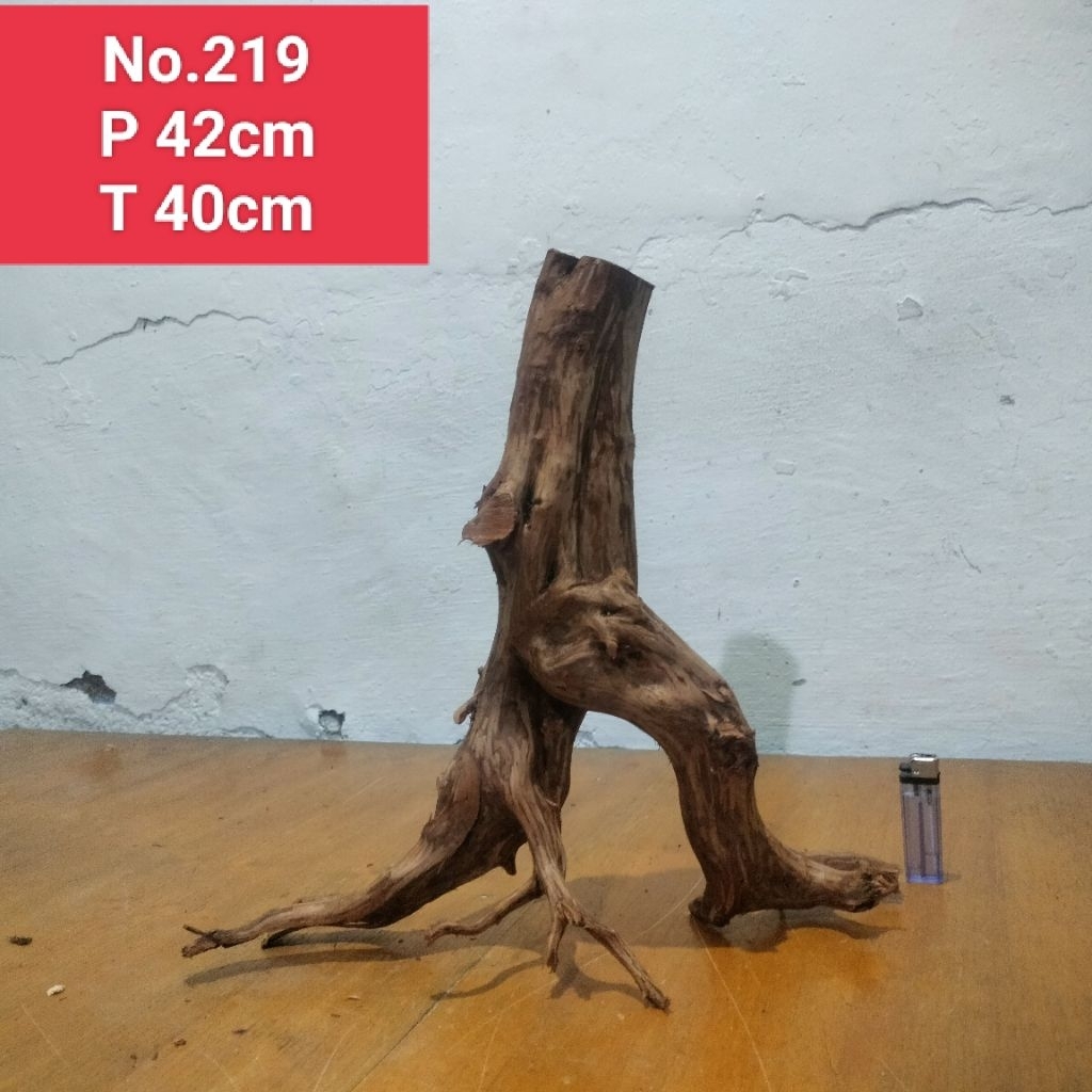 bonggolan akar Rasamala size XXL akar dekorasi aquascape aquarium 219