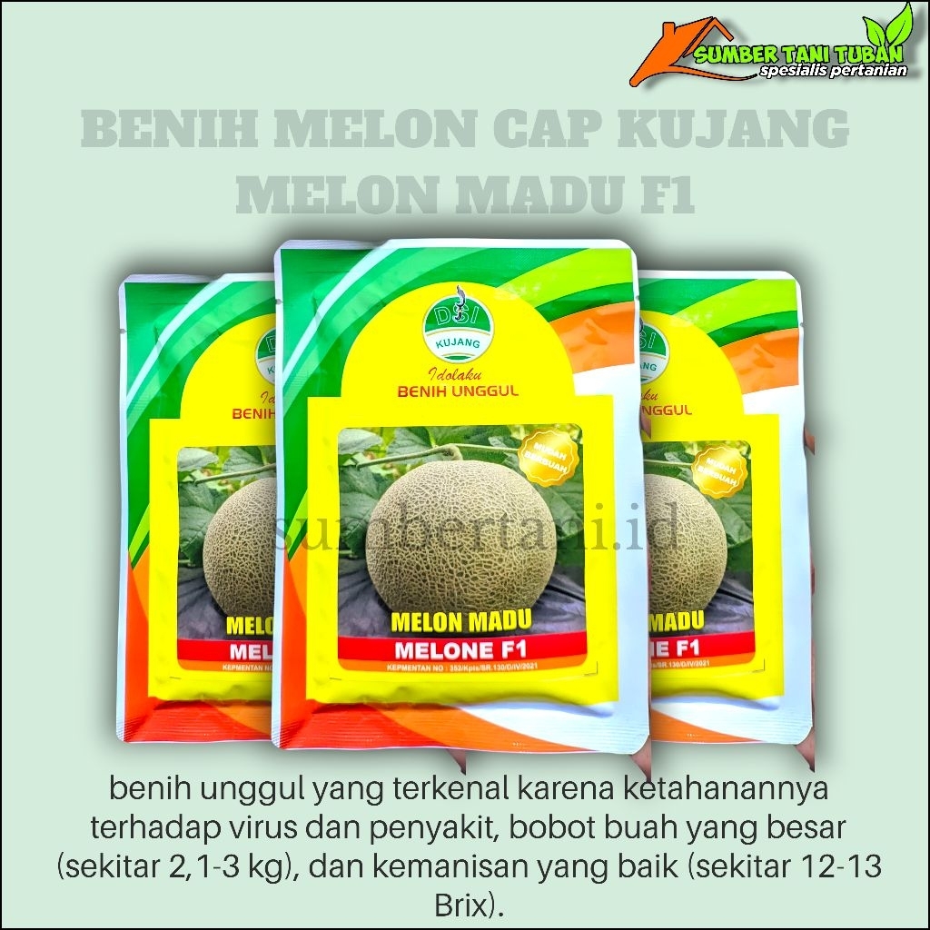 Benih MELON MADU CAP KUJANG sangat tahan penyakit (Isi±700 biji)