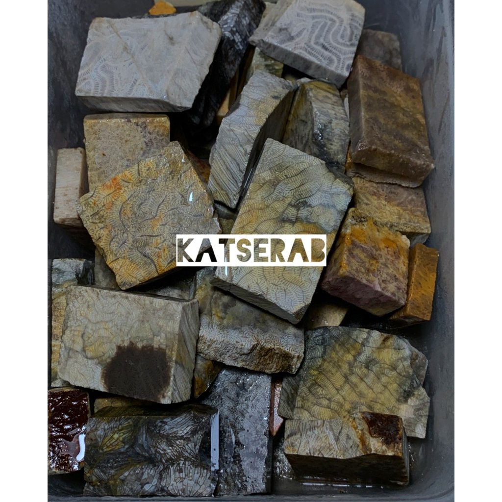 bongkahan batu teratai lipan super natural / batu akik posil lipan / bongkahan batu akik posil lipan