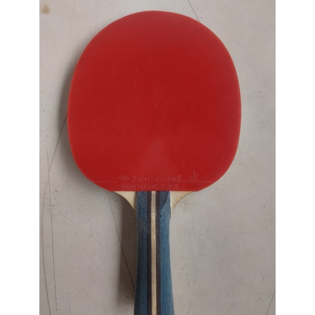 Bet Tenis Meja / Pingpong Donic Schildkrot Line 700