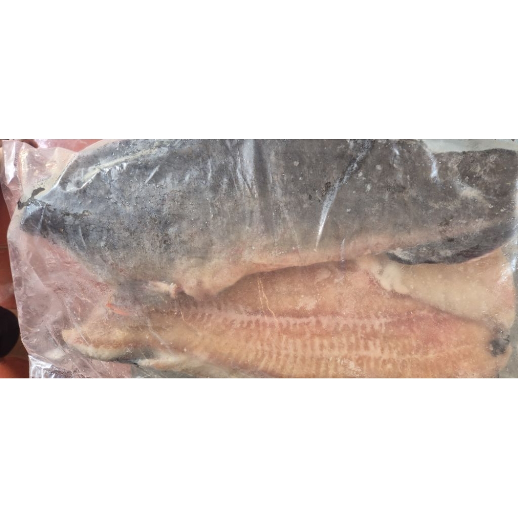 FILLET LELE 1 KG FROZEN