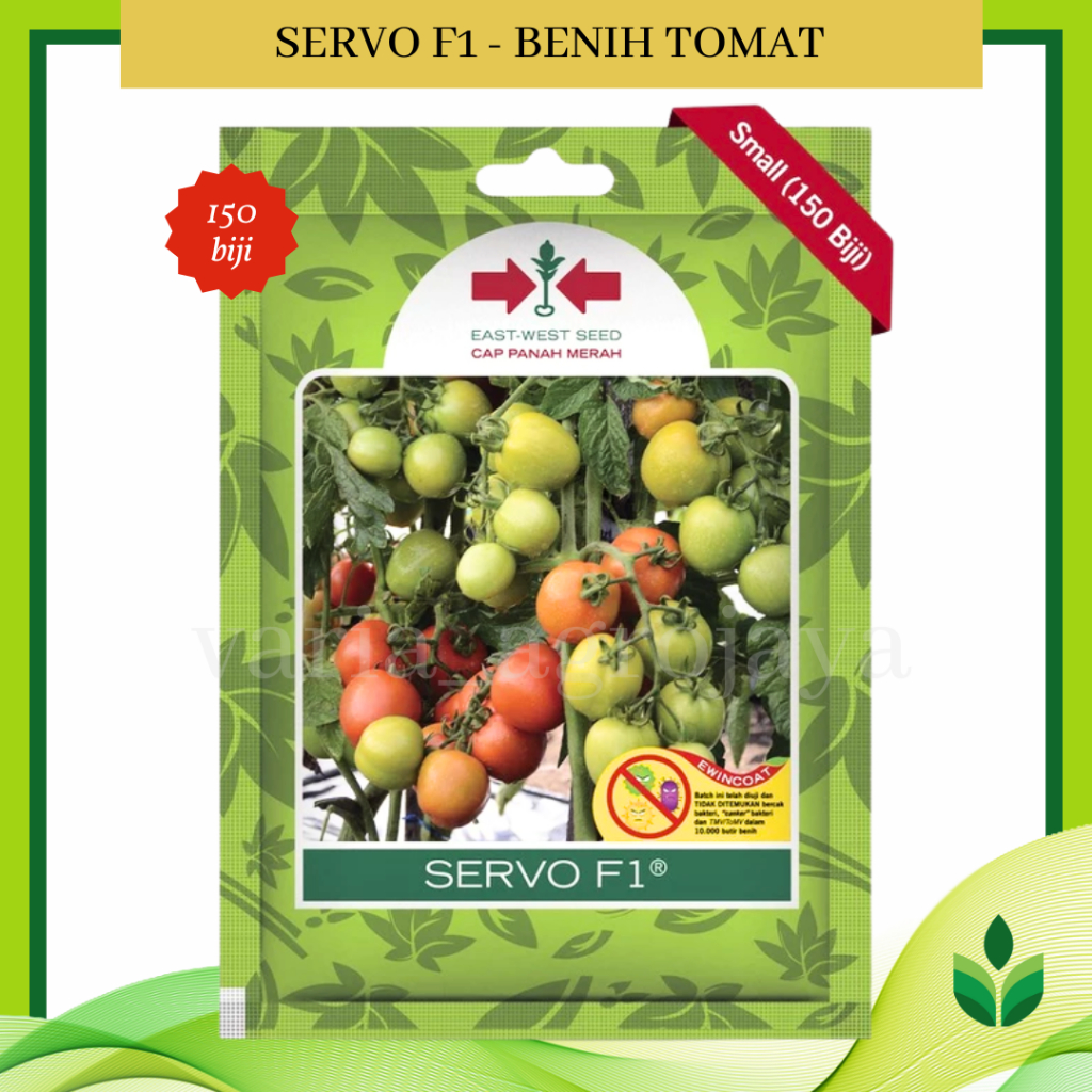 Benih Bibit Tomat Servo F1 150 Biji - Cap Panah Merah