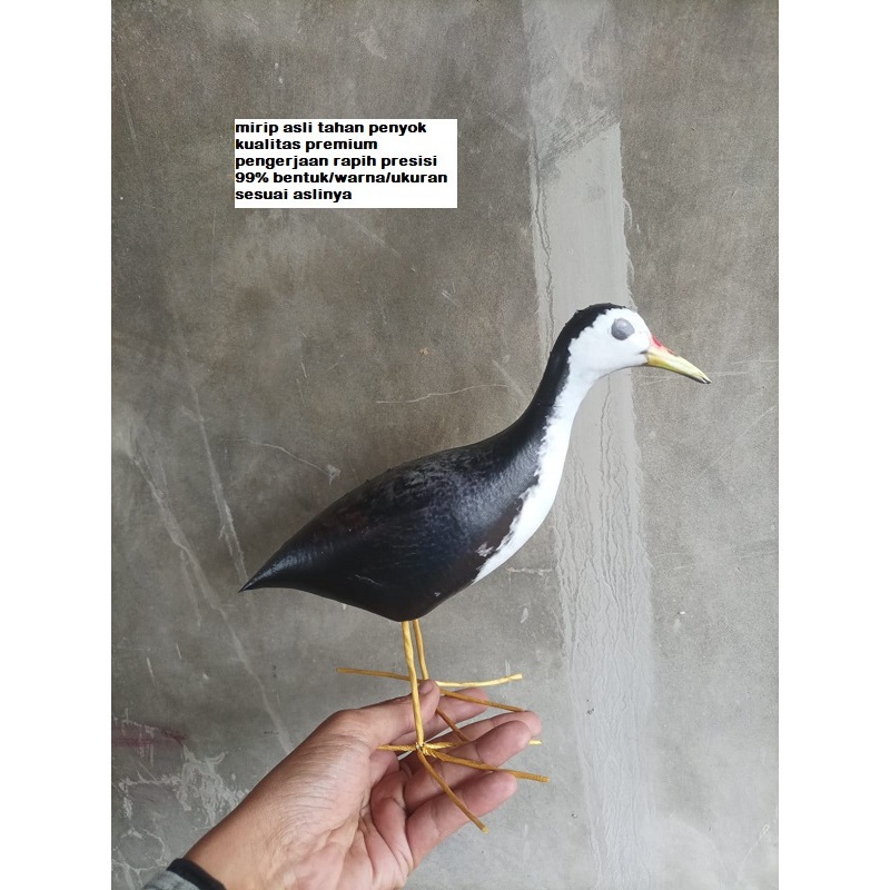 PATUNG BURUNG RUAK RUAK JONTROT MANUK KAREO MIRIP ASLI PIKAT BURUNG RUAKRUAK KUALITAS PREMIUM