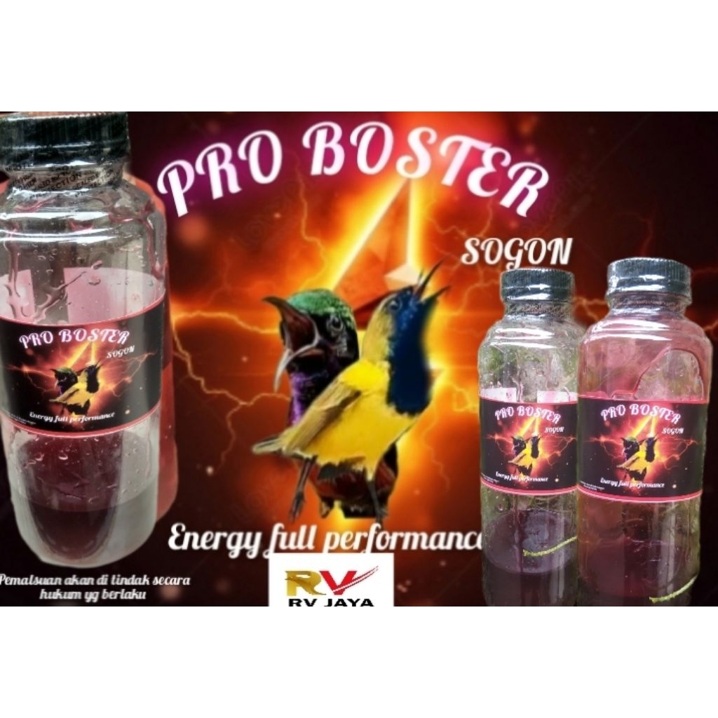 pro booster sogon, probooster pleci,nektar sogon,nektar pleci,dextro,biang nektar