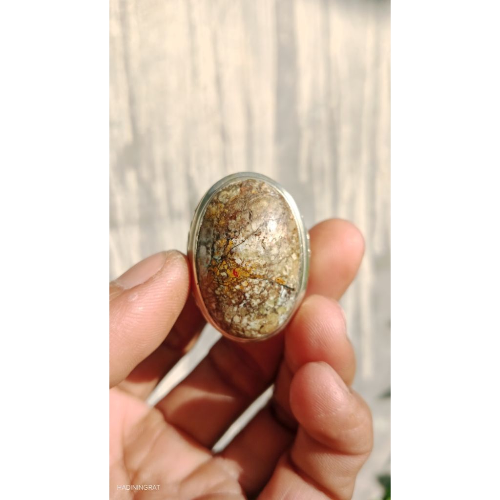 Pirus Hubey Jumbo Lawasan Multicolor