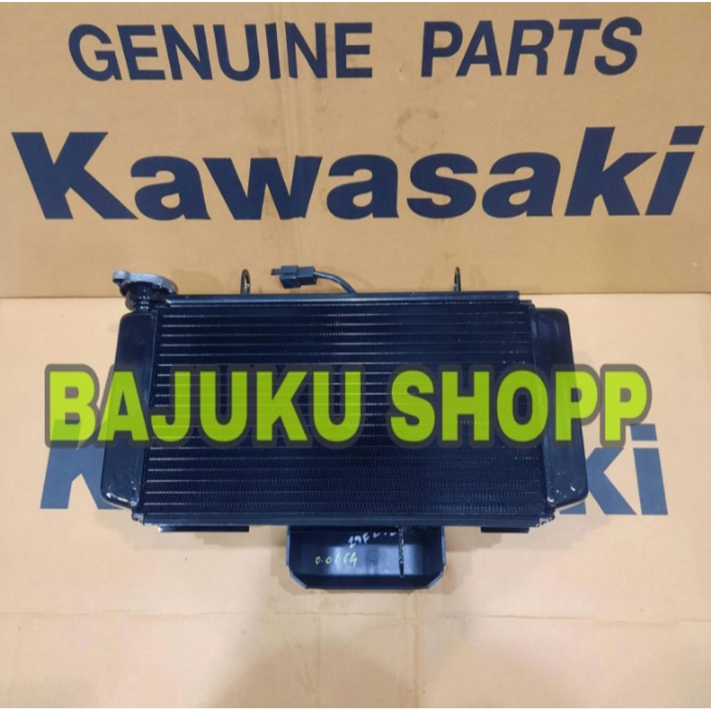 RADIATOR ASSY RADIATOR NINJA 250 RR MONO