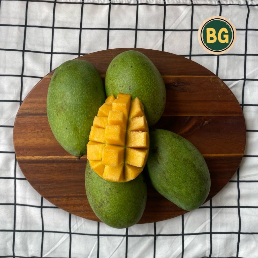 Mangga manalagi, mangga manalagi fresh,murah grosir